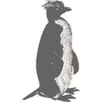 Walking Penguin