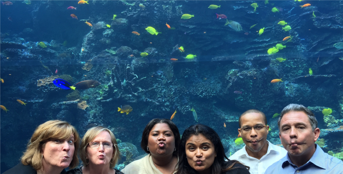 Watson Adventures Best Photos Blending into Exhibit