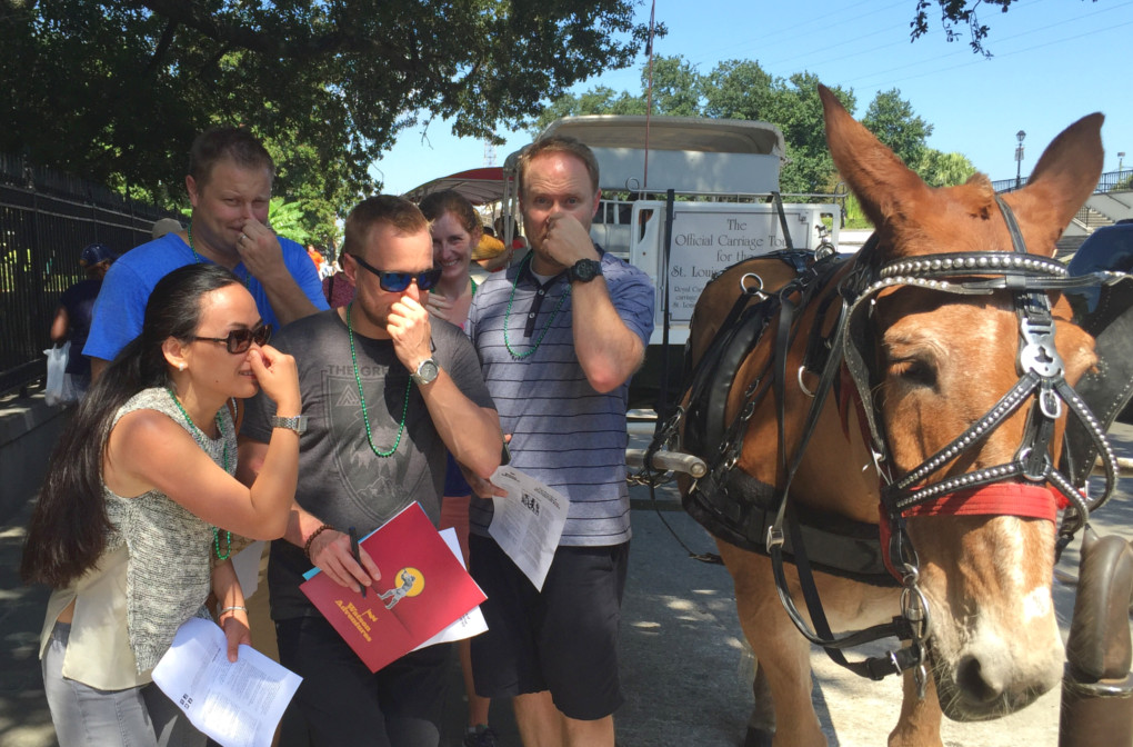 Watson Adventures Best Photos Live Animal