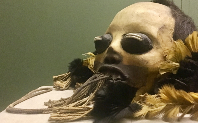 Watson Adventures 5 Things We Love at AMNH