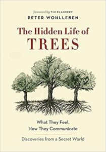 the hidden life of the trees