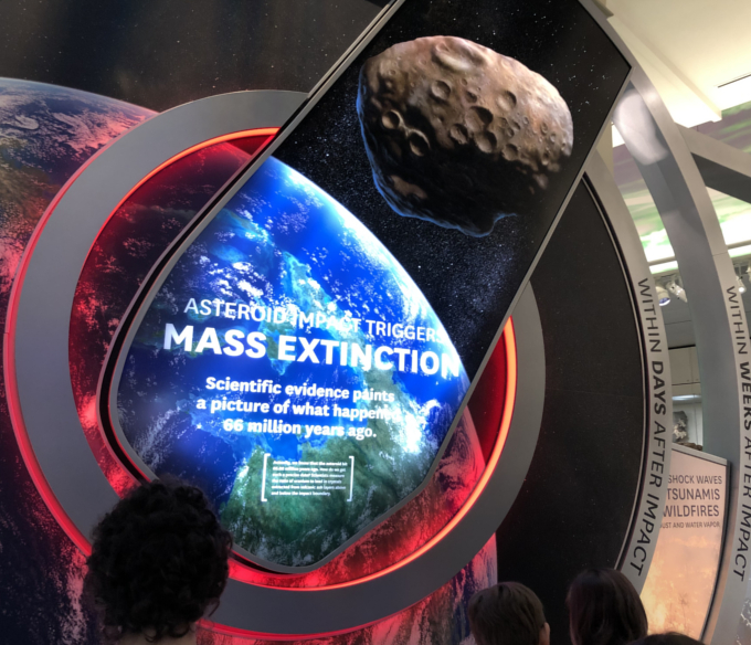 Watson Adventures Smithsonian Hall of Fossils