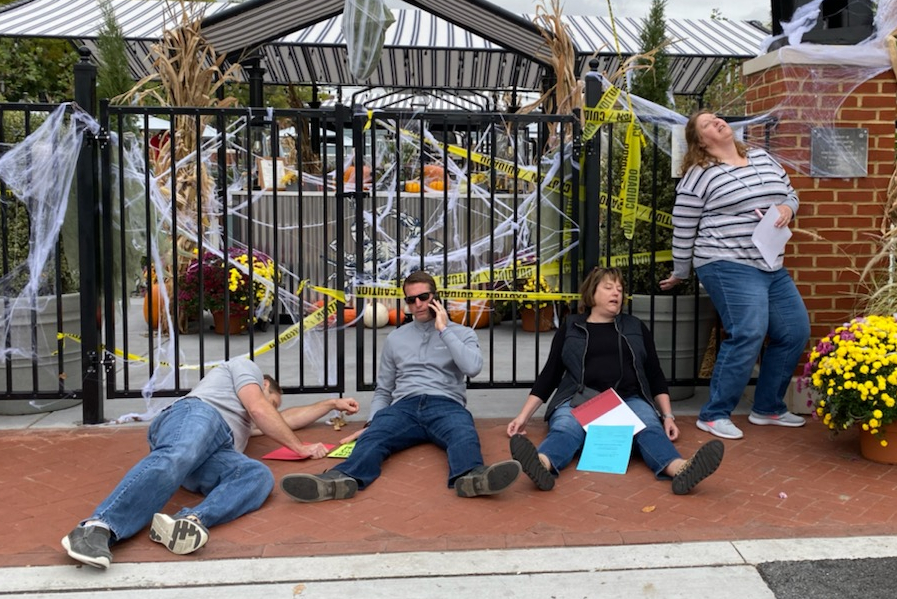 Watson Adventures Best 2019 Photos