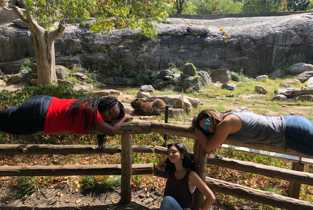 Watson Adventures Best 2019 Photos