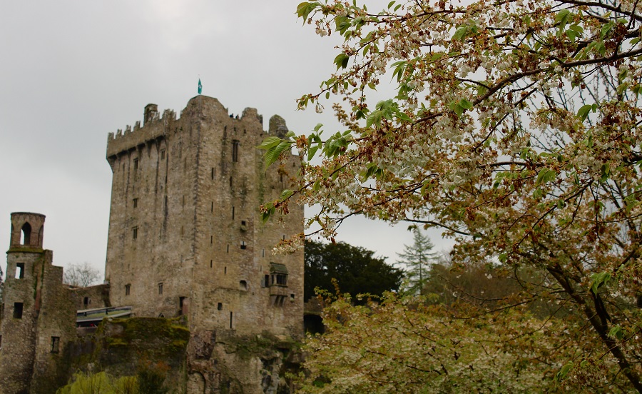 Ireland Virtual Tours Blarney Castle